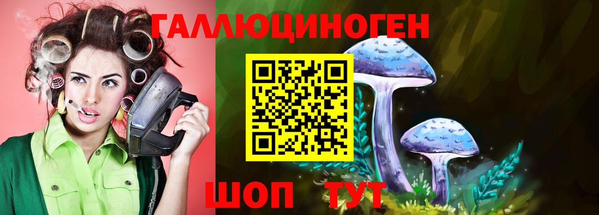 Псилоцибиновые грибы мухоморы Лесосибирск